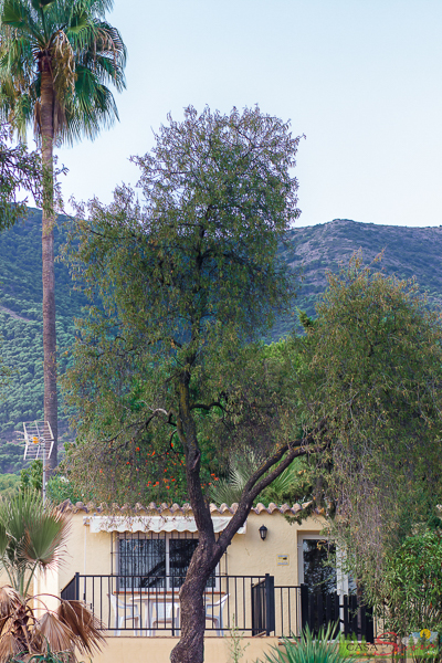 Casa Sierra