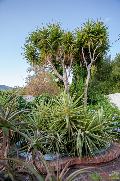 Casa Sierra